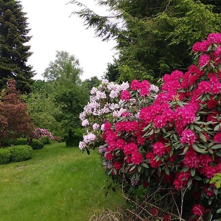 Ferienwohnung Gartenblick Worpswede Kültér fotó